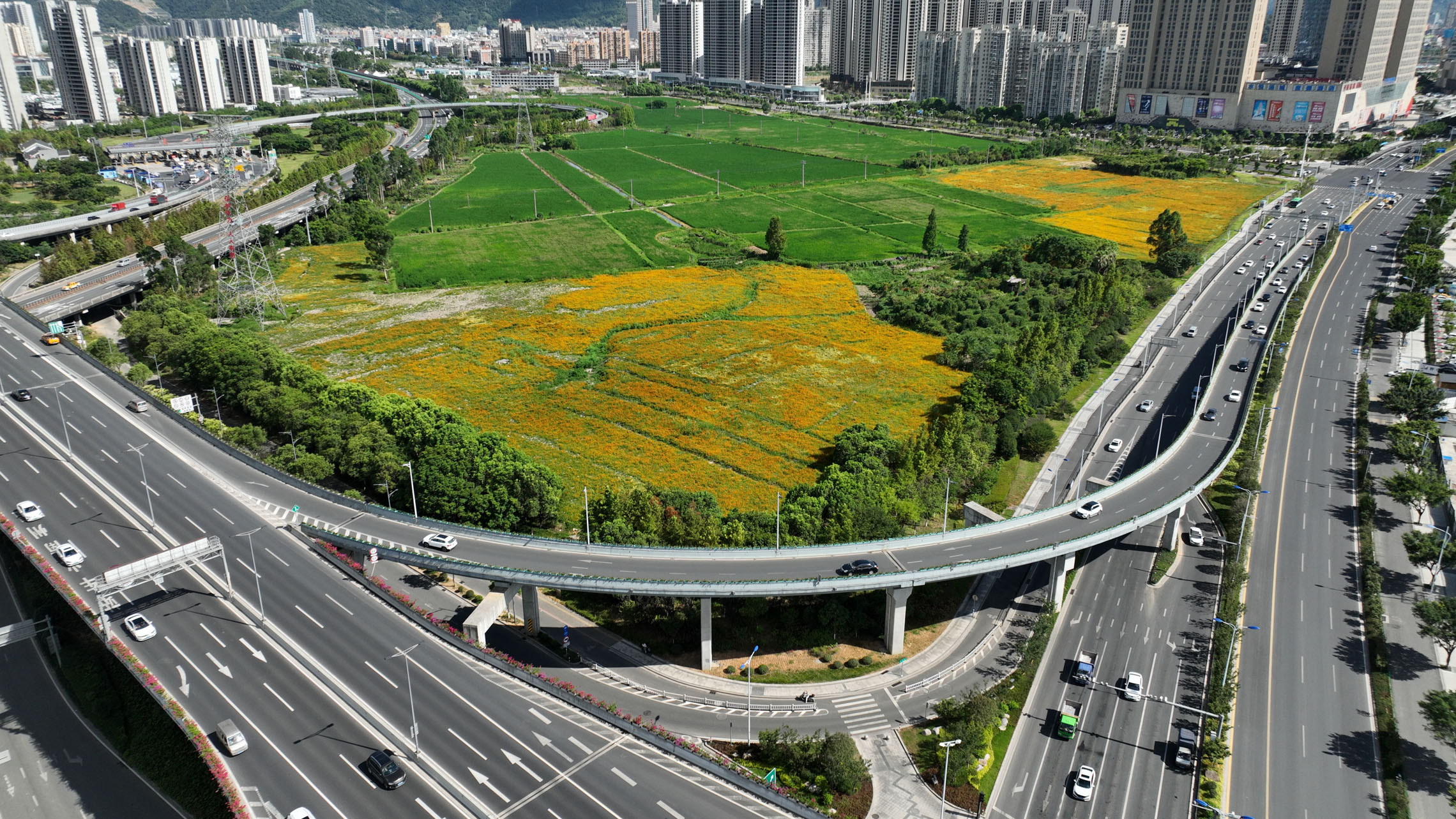 溫州動(dòng)車南站（寧波路右轉(zhuǎn)匝道）鋼橋.JPG